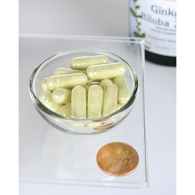 Swanson Premium Ginkgo Biloba Extract 24% - 60 mg / 240 Caps Swanson Premium Ginkgo Biloba Extract 24% - 60 mg / 240 Caps